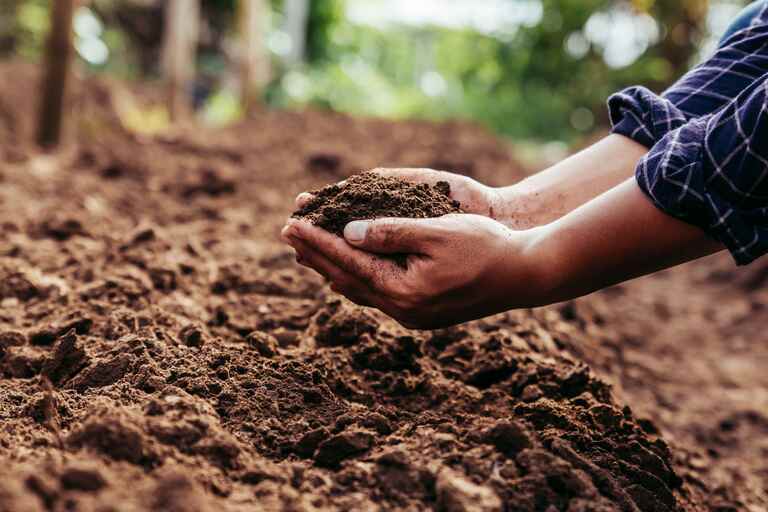 Boden